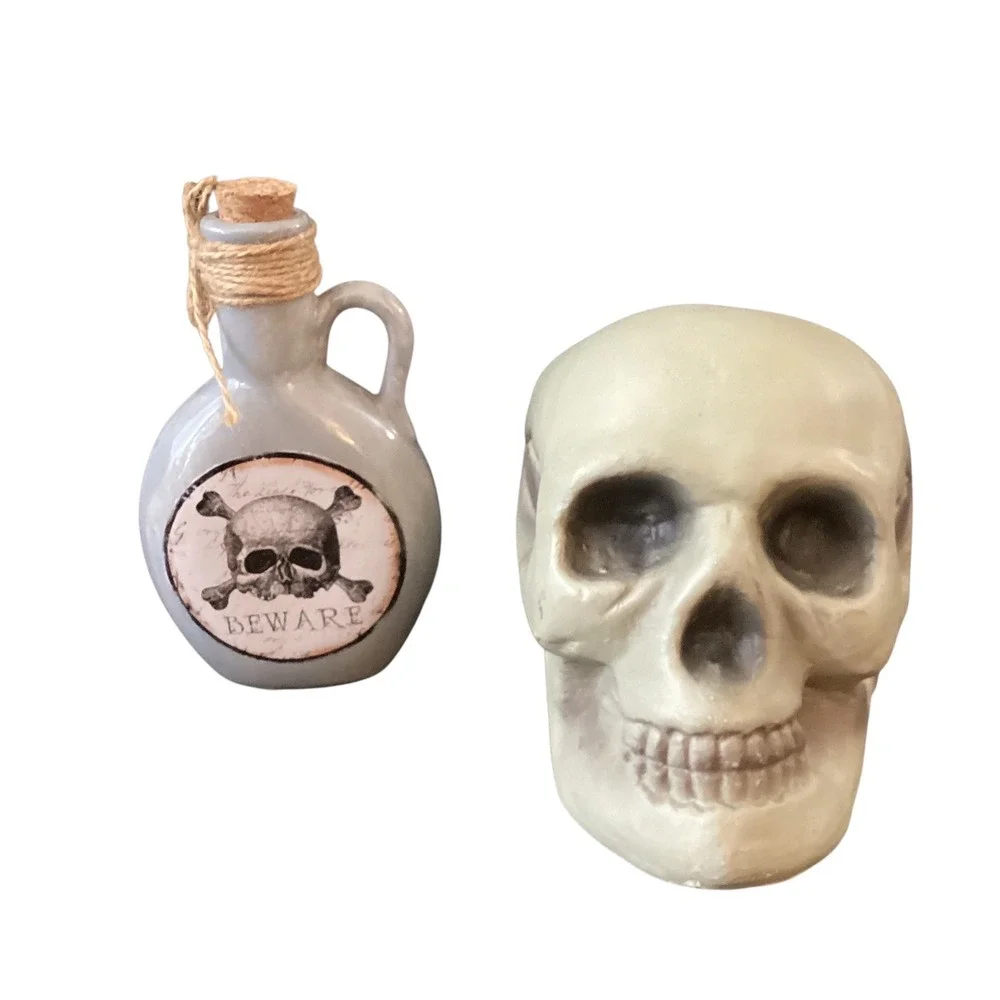 Halloween Decor Bundle Skull and Beware Poison Jug Potion Bottle Set